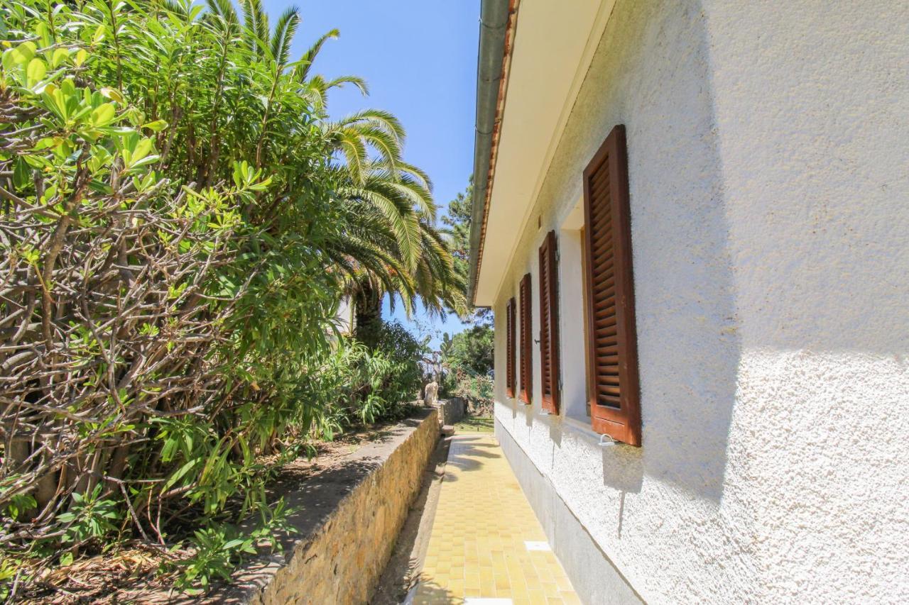 Casa Panoramica Bouganville SantʼAndrea Exterior foto